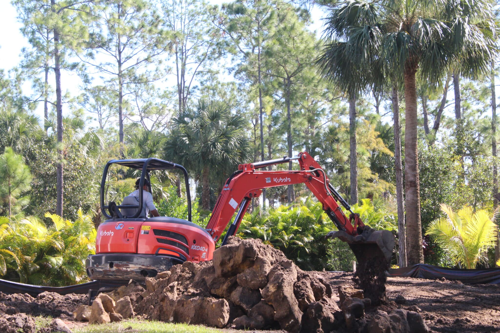 Photo Nov 18 2025, 12 41 31 PM